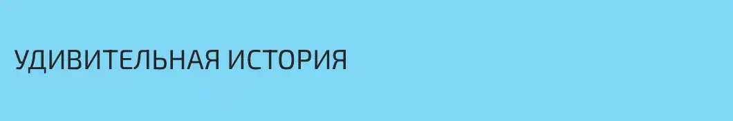 УДИВИТЕЛЬНАЯ ИСТОРИЯ